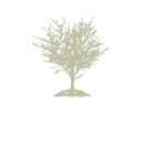 City of Cedar Hill Texas